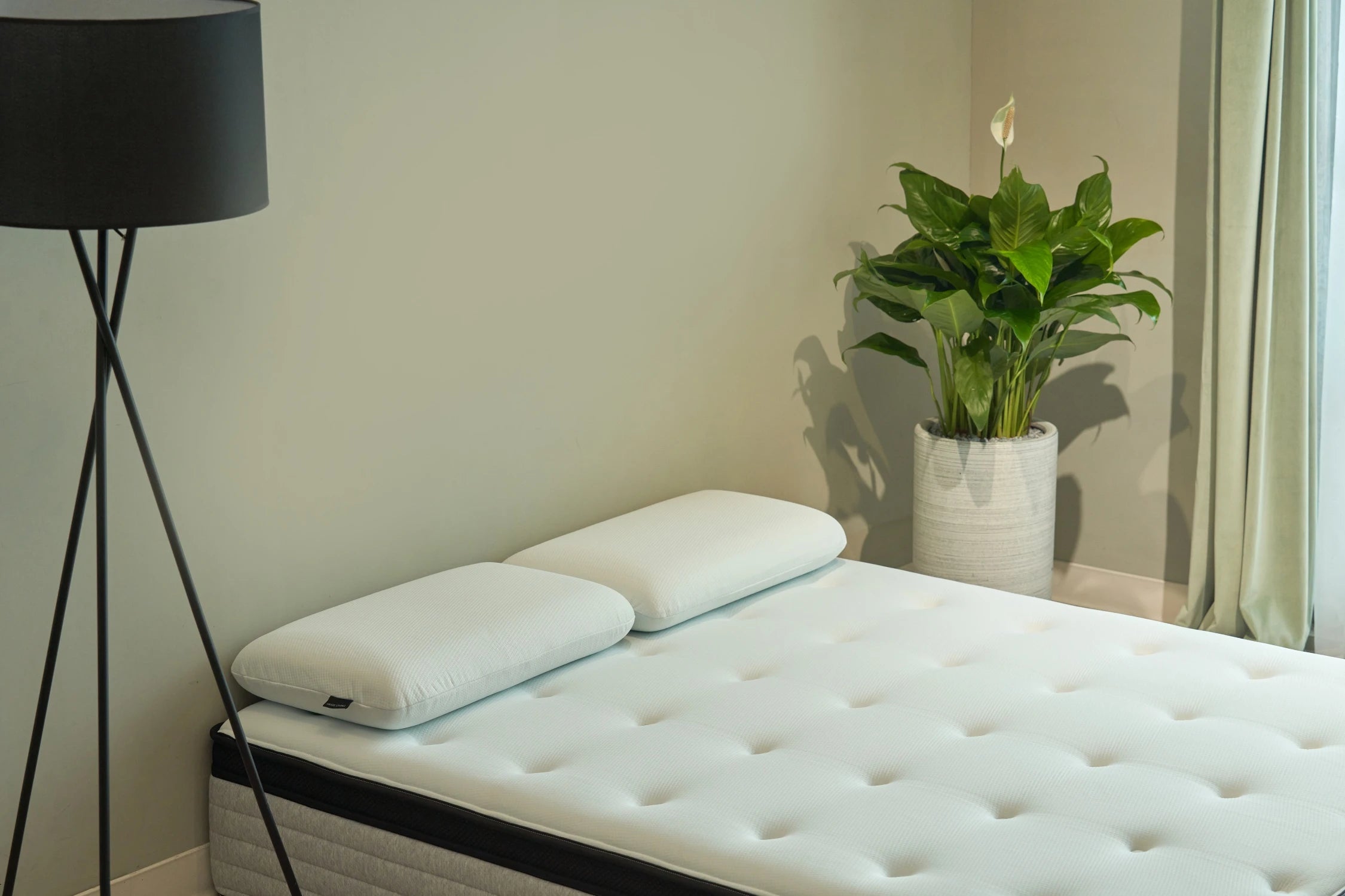 3kg 穩重釋壓記憶枕情境照 - 兩顆枕頭並排放置於床墊上