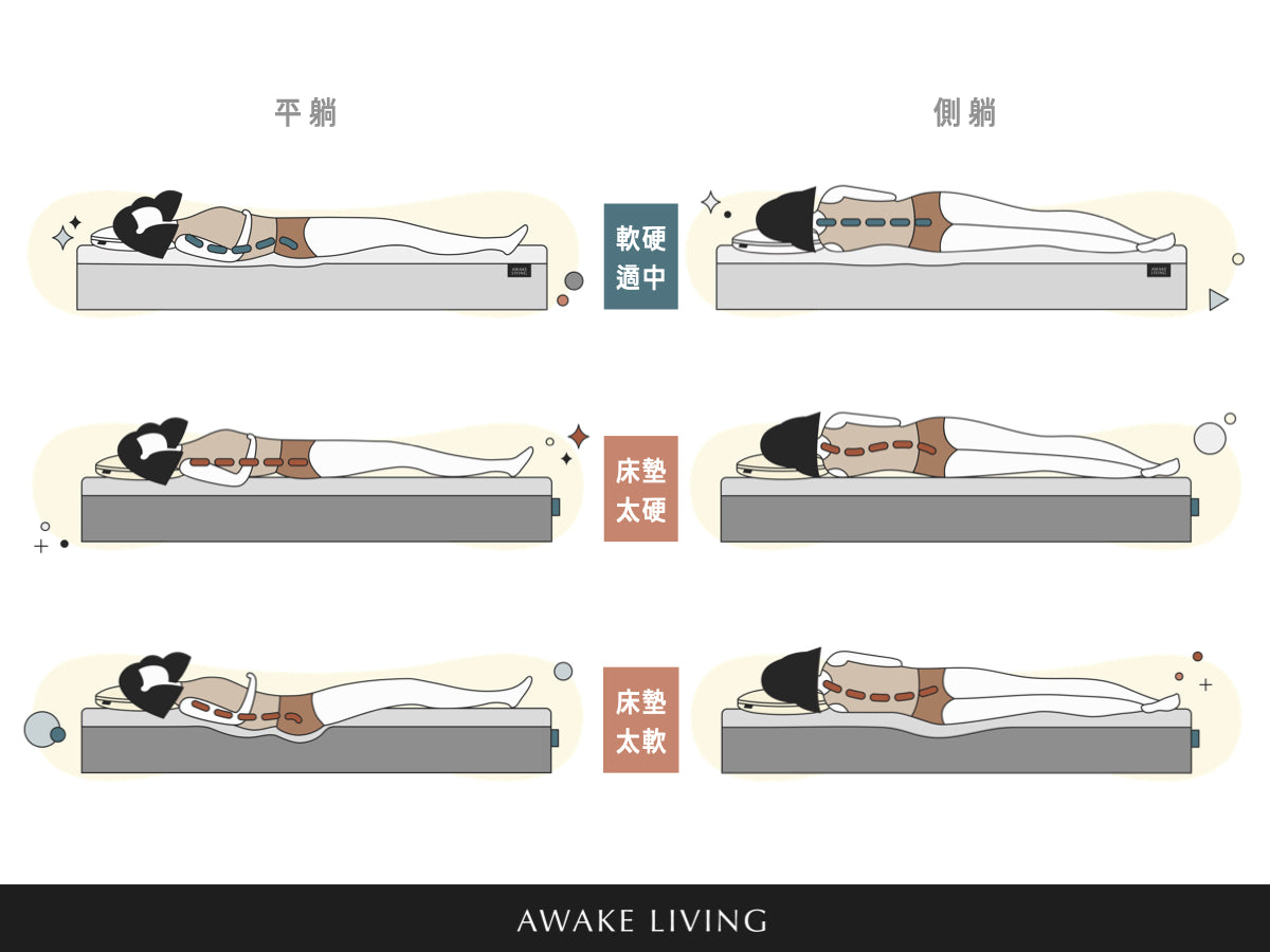 睡姿床墊判別示意圖 - 硬床 / 軟床 / 適合的床墊