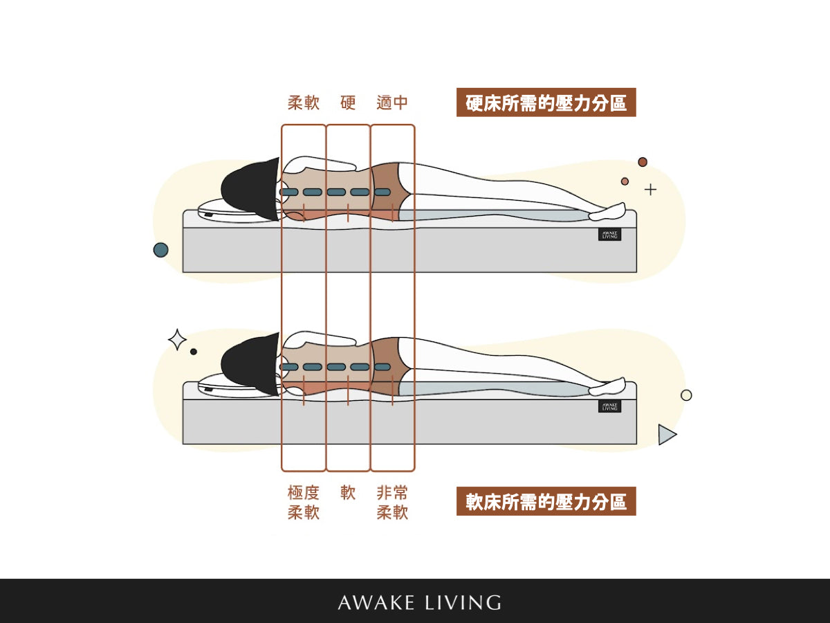 壓力分區建議示意圖 - 軟床 vs. 硬床