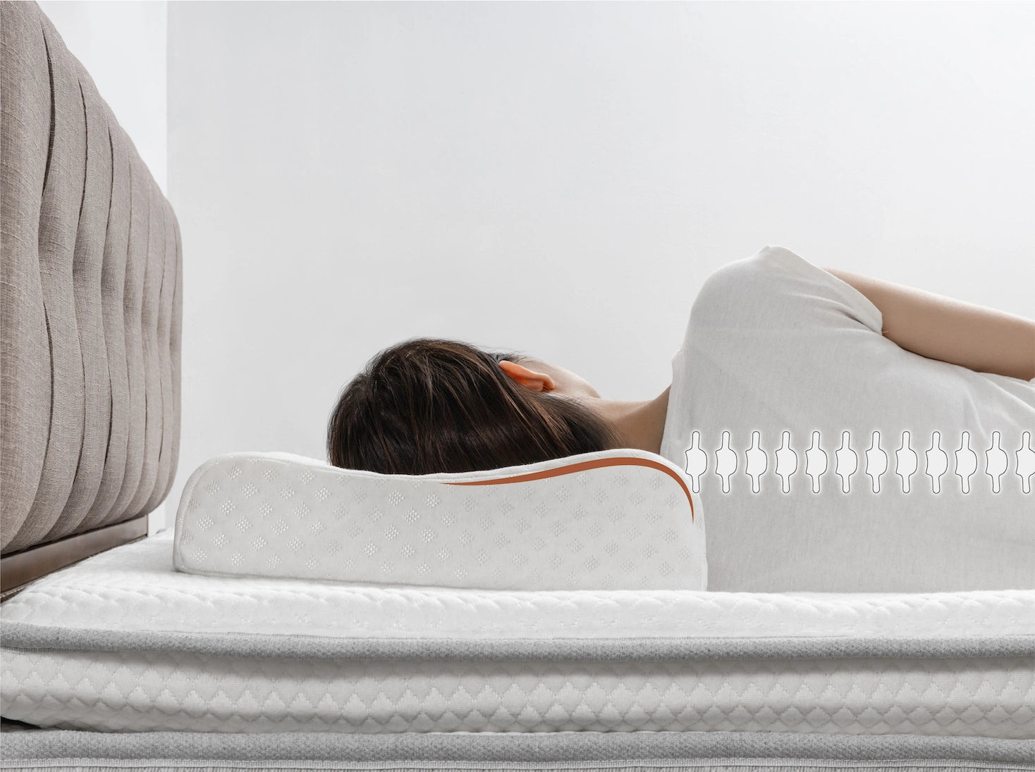 人體工學 100% 天然乳膠枕產品特色照 - 人體工學曲線