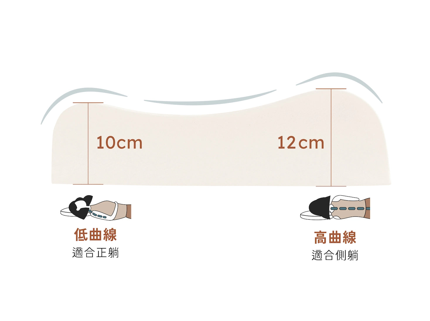 人體工學 100% 天然乳膠枕產品特色照 - 兩種高度 雙向可枕