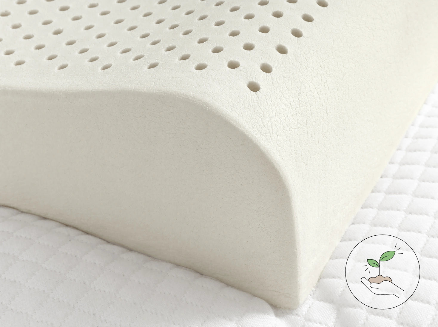 人體工學 100% 天然乳膠枕產品特色照 - 100%乳膠 天然安全