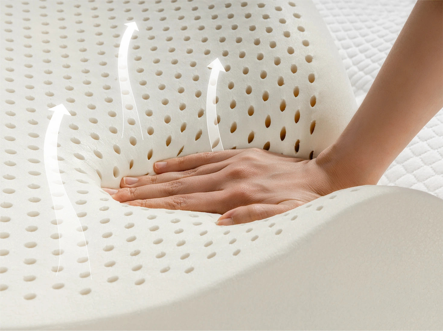 人體工學 100% 天然乳膠枕產品特色照 - 多孔結構 透氣排濕