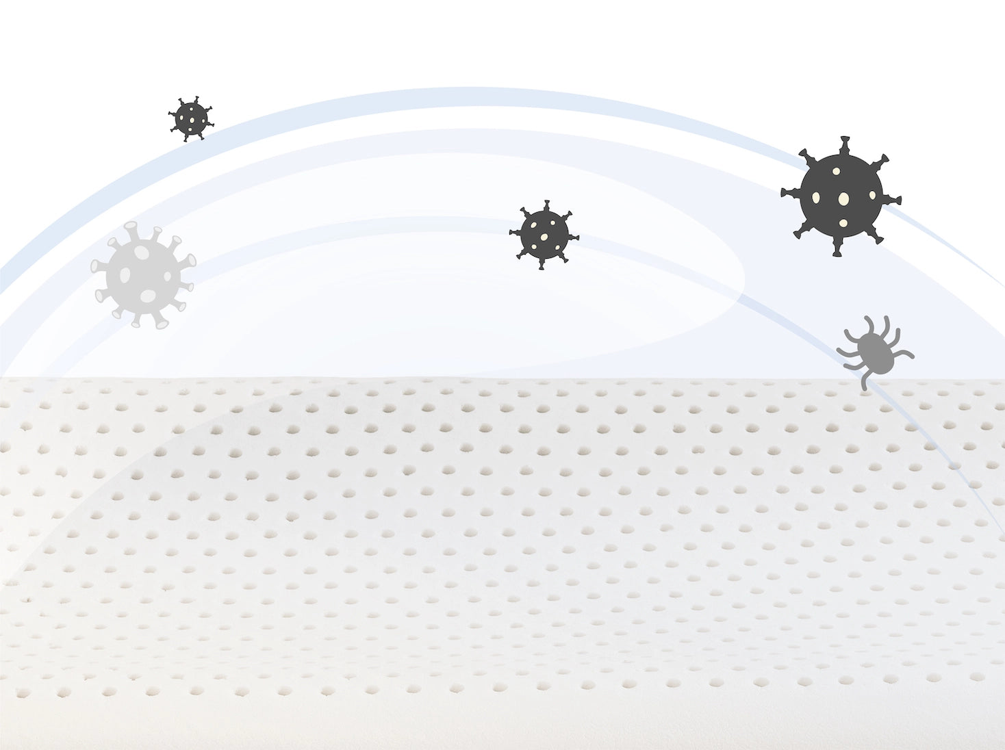 人體工學 100% 天然乳膠枕產品特色照 - 抗菌防蟎 遠離過敏
