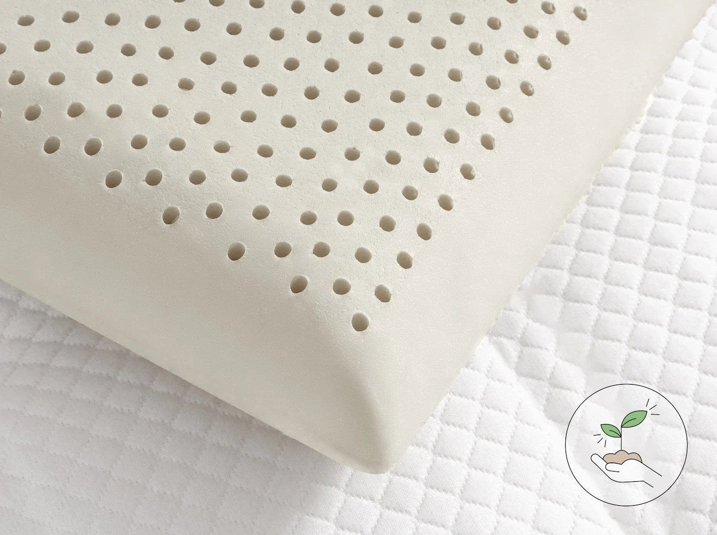 經典麵包乳膠枕產品特色照 - 100%乳膠 天然安全