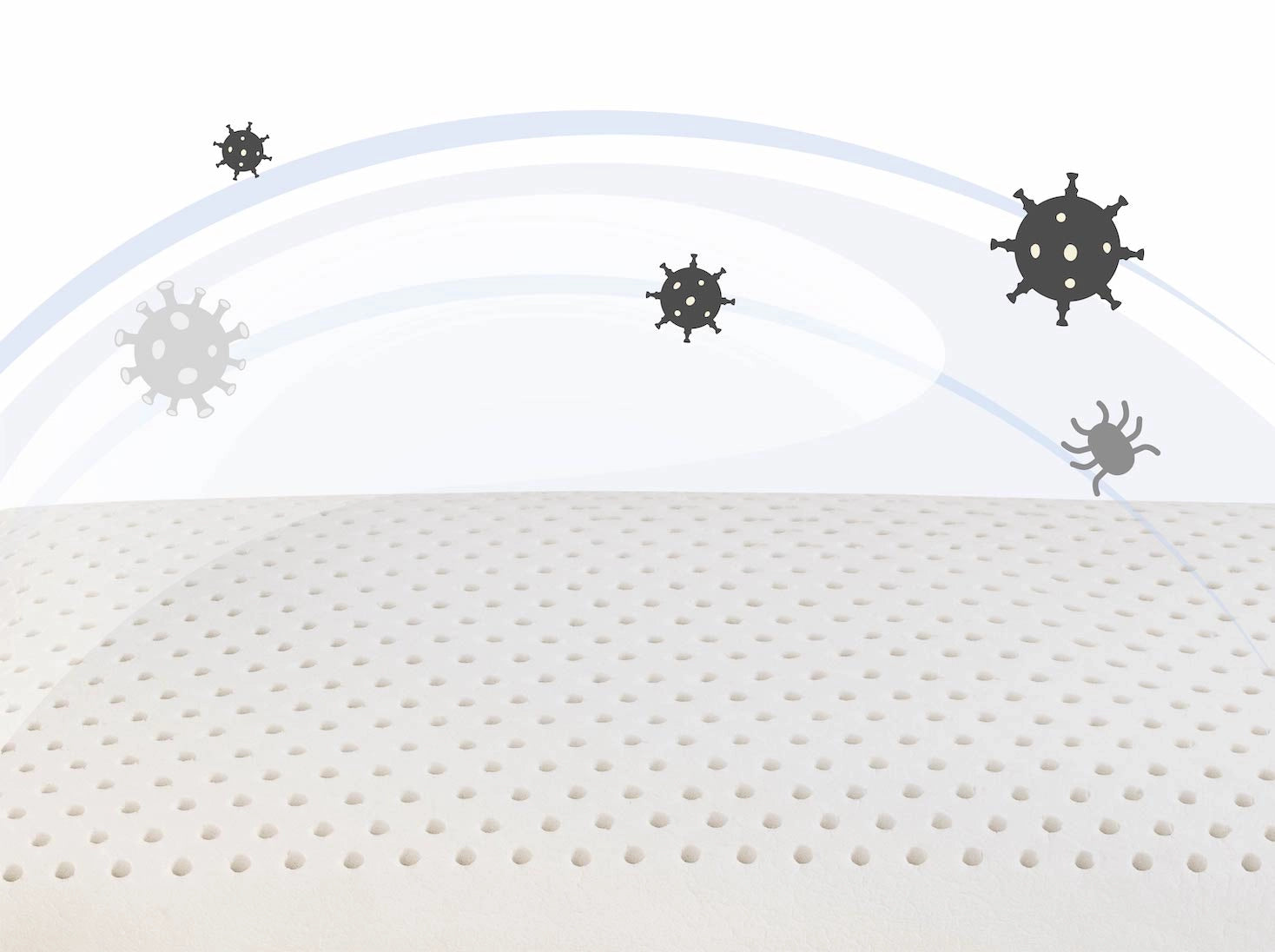 經典麵包乳膠枕產品特色照2 - 抗菌防蟎 遠離過敏