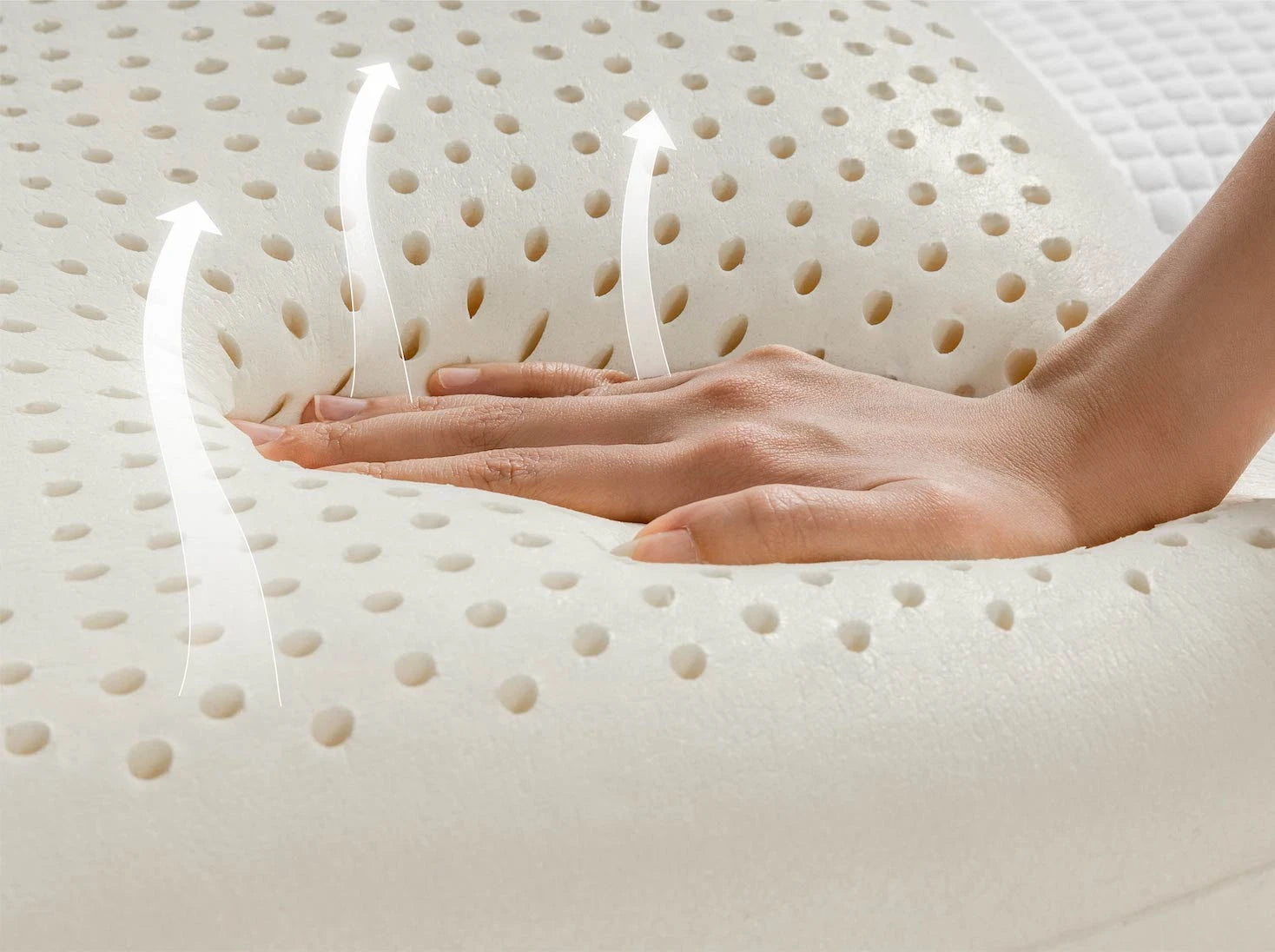 經典麵包乳膠枕產品特色照3 - 多孔結構 透氣散熱