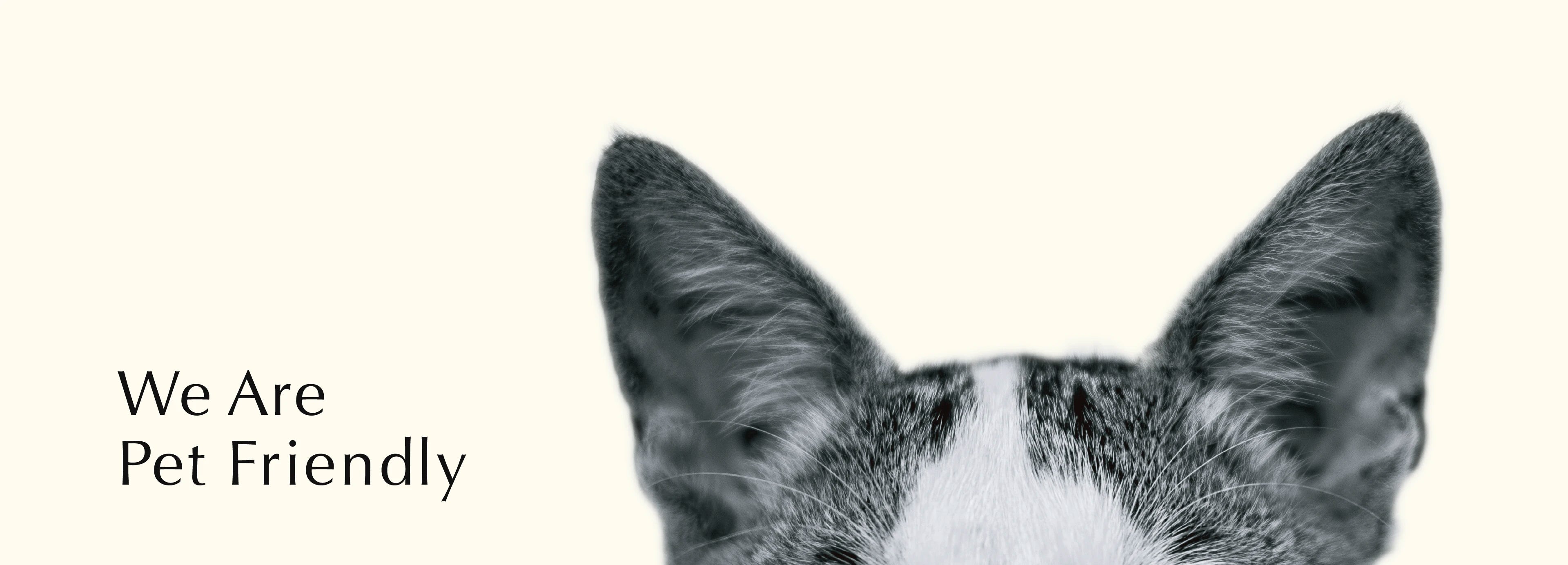 淺色背景前景中浮現貓的耳朵，一旁壓上了 We Are Pet Friendly 的寵物友善訊息。